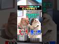 結婚する派vs結婚しない派　#猫ミーム #catmemes #shorts #猫マニ