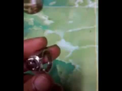 bulu macan jember bulu goyang bulu macan jember bulu goyang