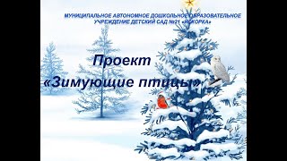 Проект Зимующие птицы