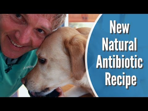 'new'-natural-antibiotic