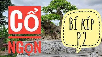 KTV105 CỔ NGỌN, Bí kíp triển khai P2 - Hogita.com