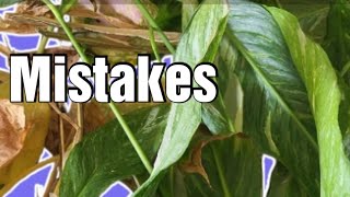 The #1 Pruning Mistake Beginners Make