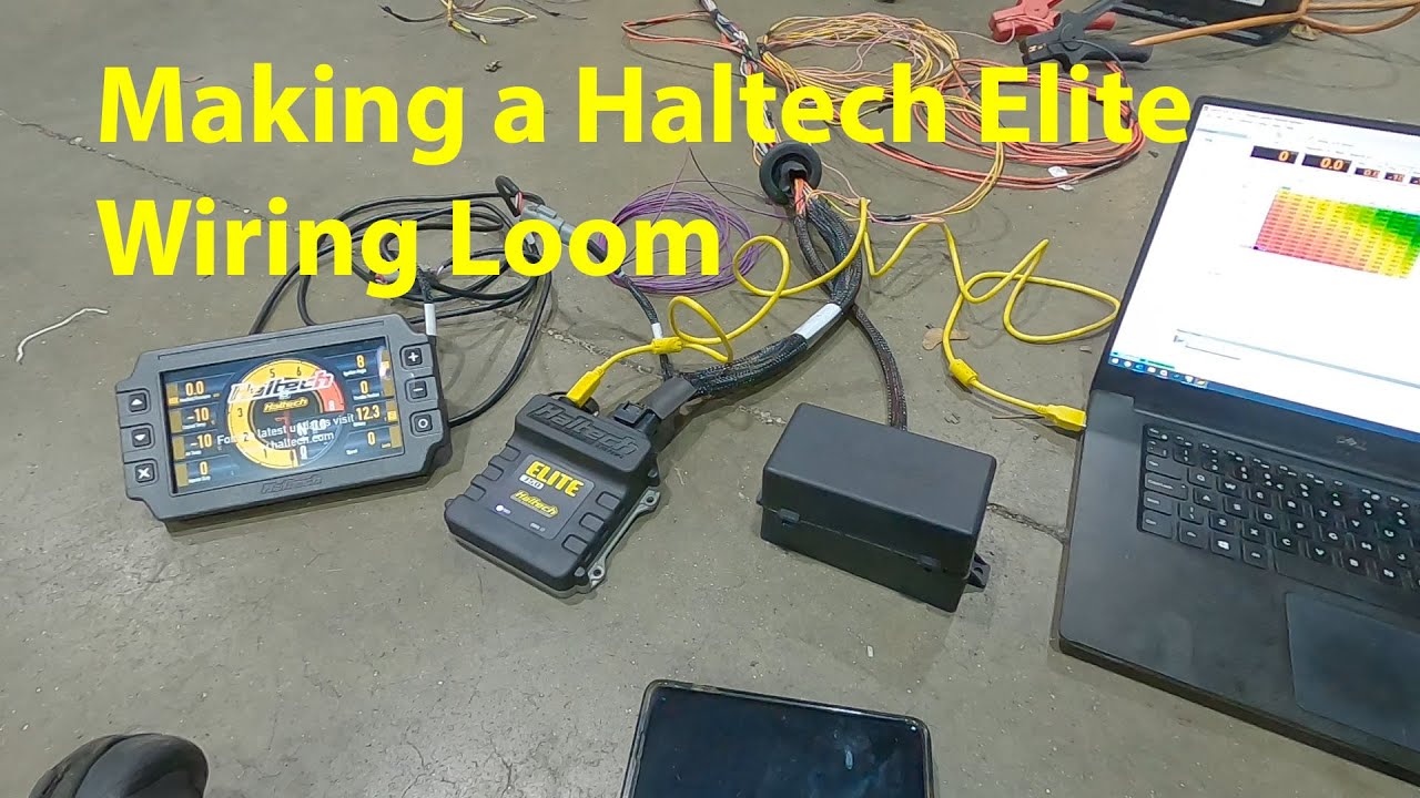 Haltech Elite Tutorial Part 8 - Laying Out a Wiring Harness - YouTube
