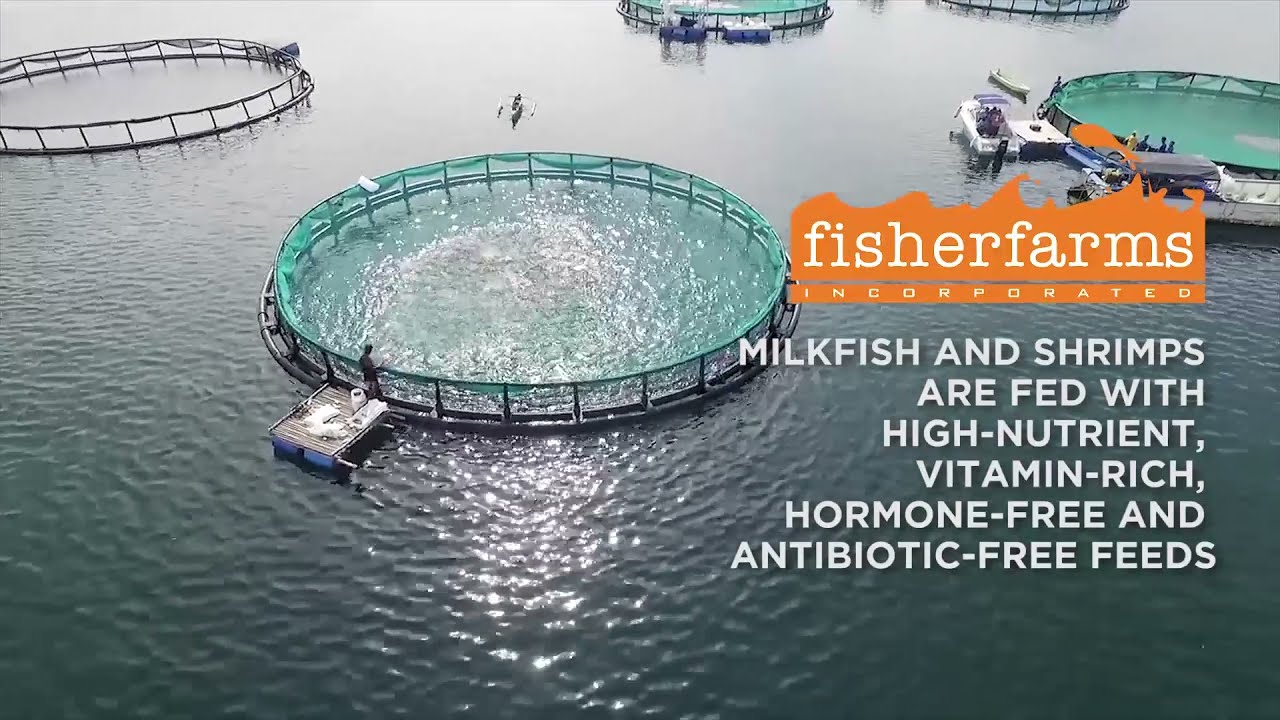 Fisherfarms Philippines - Merging Aquaculture Tradition and Innovation