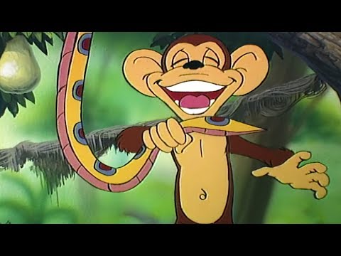 Şakacı Maymun - Hayvanlar Alemi | Renk Çocuk