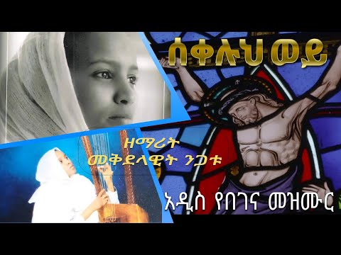 ቪዲዮ: ዘመናዊቷ ከተማ እንደ ስርዓት