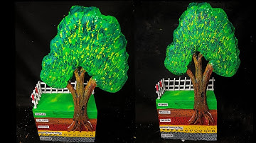 Exploring Soil Layers: Creating a Detailed Soil Profile | School Project"