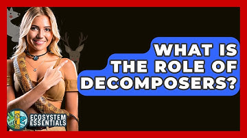 What Is The Role Of Decomposers? - Ecosystem Essentials