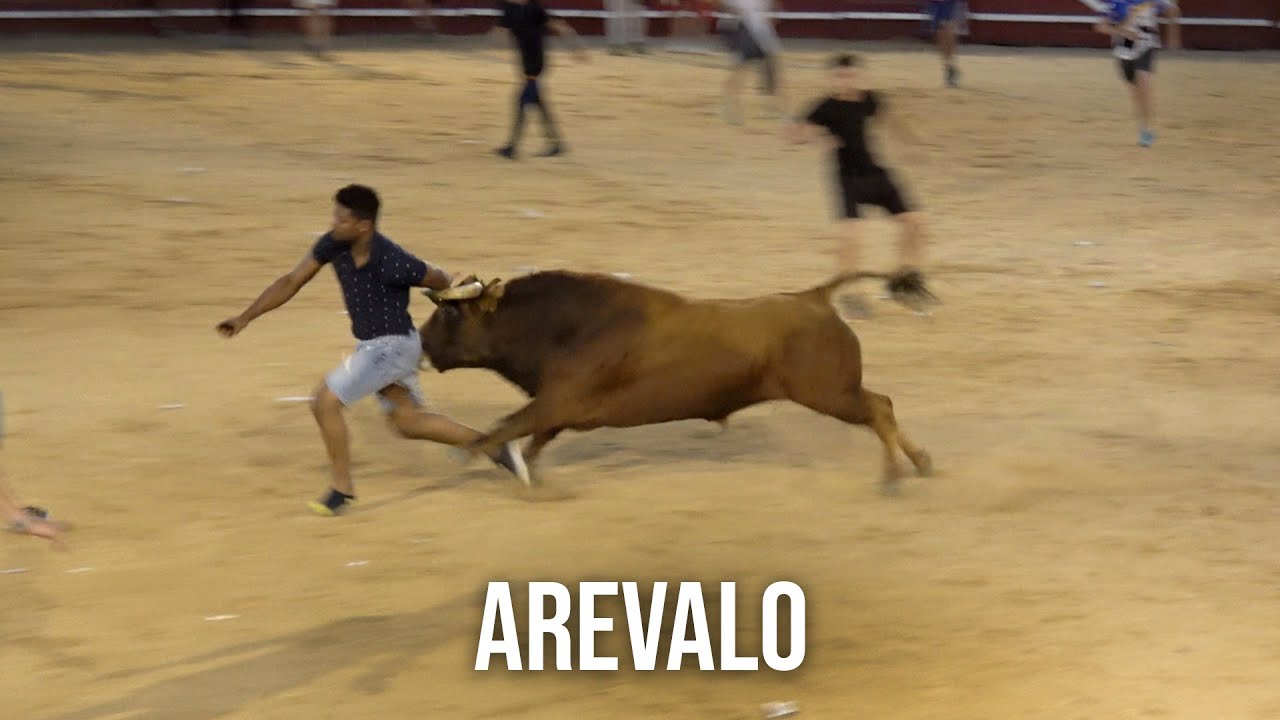 Arevalo 2024 Encierro y Capea Día 10