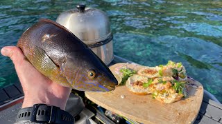 VEGETARIAN FISH!? Catch & Cook (Spearfishing) Volcanic Island by Ollie Craig - Primal Pursuit 26,614 views 11 months ago 26 minutes