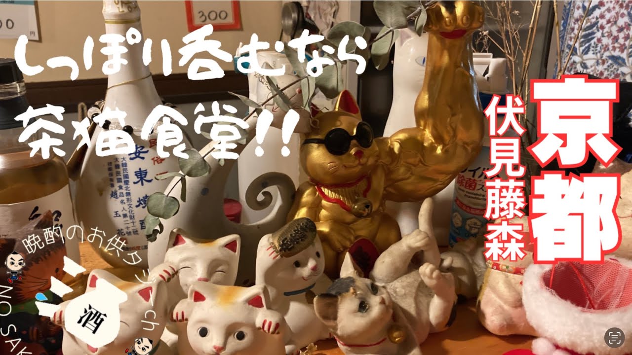茶猫が手招きするイカした酒場[京都藤森]茶猫食堂 - YouTube