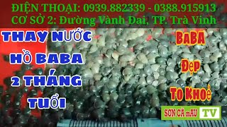 THAY NƯỚC HỒ BABA 2 THÁNG TUỔI TẠI NÔNG TRẠI || SƠN CÀ mAU