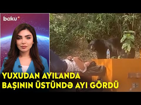 Yuxudan ayılanda başının üstündə ayı gördü - Maraqlı anlar | BAKU TV