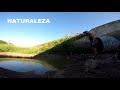 PESCA URBANA, peces, víboras, anguilas, insectos, plantas, perros y ranas