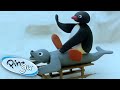 Play Day! | Pingu Official | Cartoons for Kids