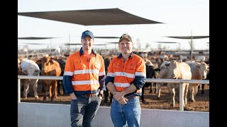 This is Aussie Agriculture - Beef Lot Feeding with Mort & Co