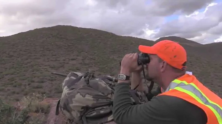 Cory's  5x4 Utah mule deer