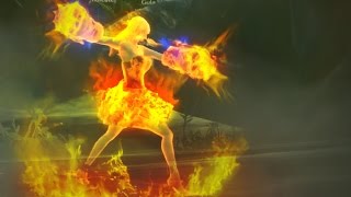 Tera online - BAM solo - Brawler (lvl 32 Red Lash Clawrider)