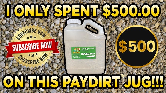 3 Lb. Rich Gold Paydirt Concentrates Unsearched – Pay Streak Prospecting