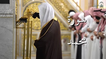 سورة محمد | المصحف الصوتي والمرئي من صلاتي التراويح والتهجد بالمسجد النبوي لعام 1446هـ.