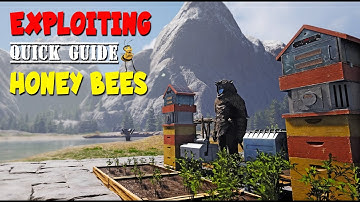 ICARUS | UPDATE | BEING A BEE KEEPER