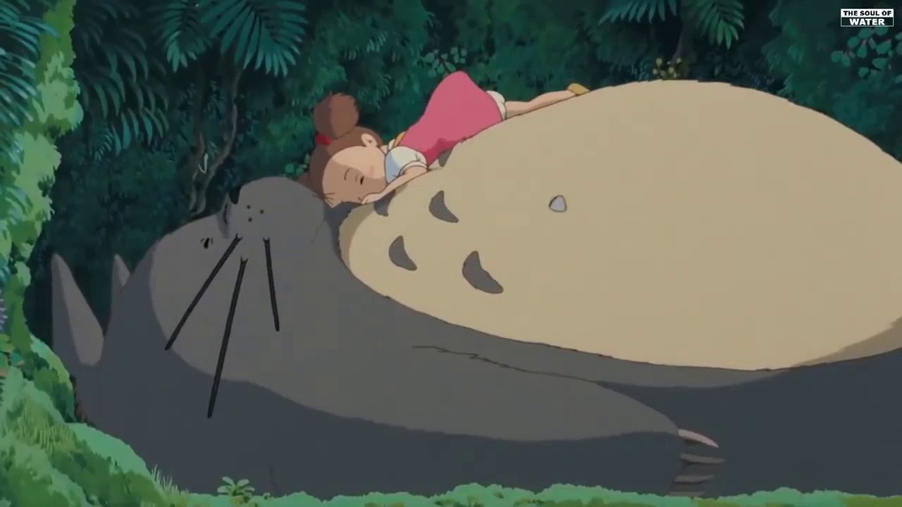 搜索放松音乐相关的youtube红人 Youtube网红搜索工具 Noxinfluencer