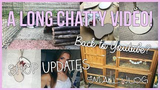 A LONG CHATTY VIDEO: Coming Back To Youtube? Shop Updates & A Short Vlog!