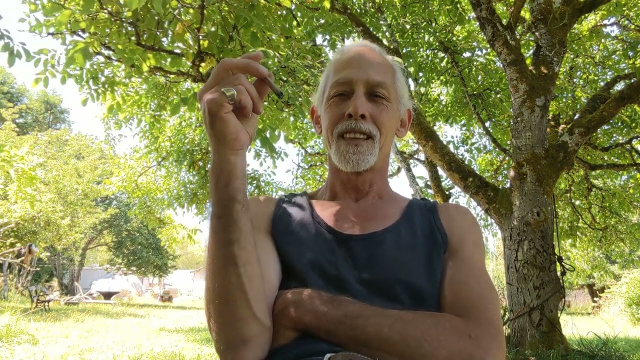 Reviewing a Belushi Farms Santa Marta Gold Preroll from Herbal Choices Dispensary ✌️ and Growers ♥️