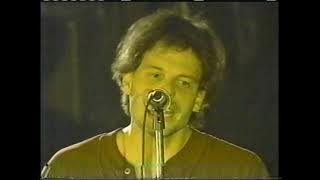 Gin Blossoms -