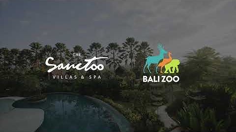 Bali Zoo in - collaboration with The Sanctoo Villas