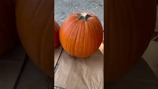 The Sanderson Sisters are back! #hocuspocus #halloween #pumpkincarving #pumpkins #Halloween #witch Update