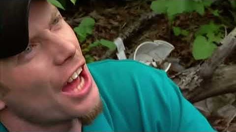 Cops Tv show Passaic county New Jersey. Officer Papi. Traffic stop. (2004).