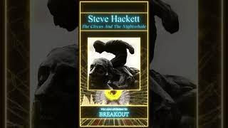 Steve Hackett - Breakout #shorts