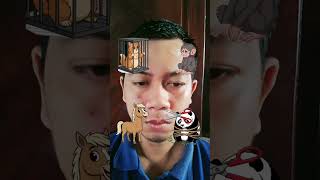 iPhone 17 Pro Max Cosmic Orange #noads #100 #games