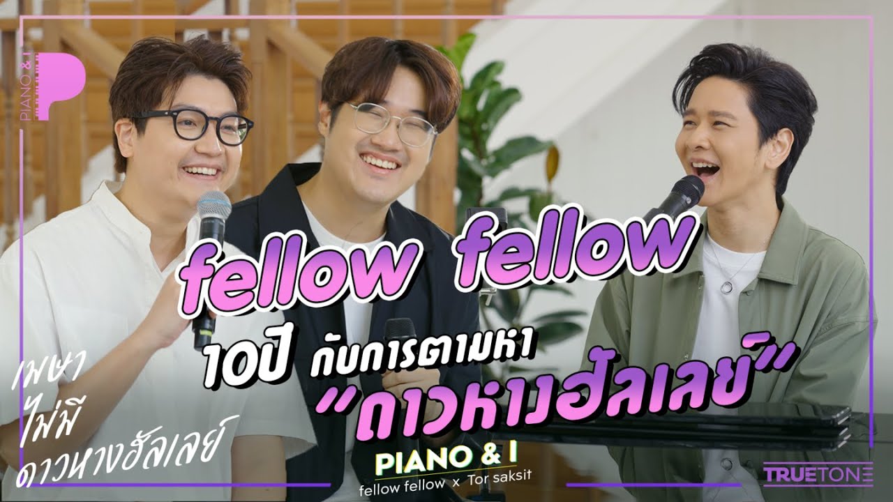fellow fellow 10ปี กับการตามหา 