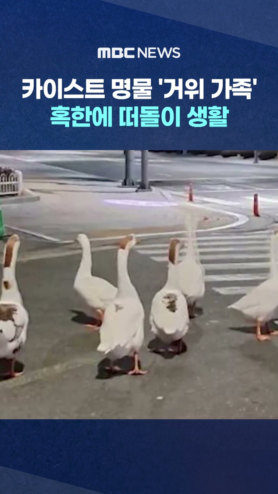 혹한에 떠돌이 생활 #Shorts (MBC뉴스)