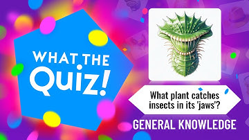 What the Quiz! Season Two: Episode Six