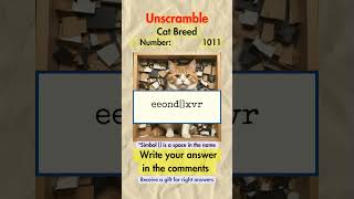 UNSCRAMBLE Cat Breed 1011 #unscramble #cat #breed UNSCRAMBLE Cat Breed 1011 #unscramble #cat #breed