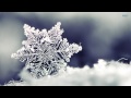Ron Sexsmith - Maybe This Christmas [HD]