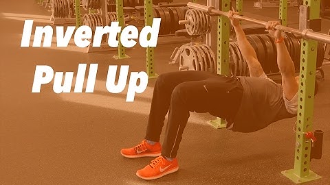 Inverted Pull Up
