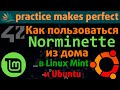 💻 Как пользоваться Norminette школы программирования 21 (42 School) из дома в Linux Mint или Ubuntu.