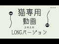 猫専用動画 2020 cat game for cat 少し長いバージョン