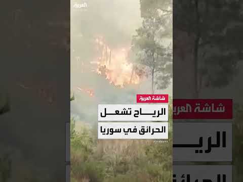 حرائق الساحل السوري: جهود دولية لمكافحة النيران