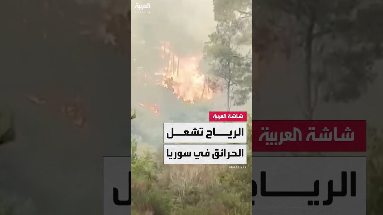 حرائق الساحل السوري: جهود دولية لمكافحة النيران