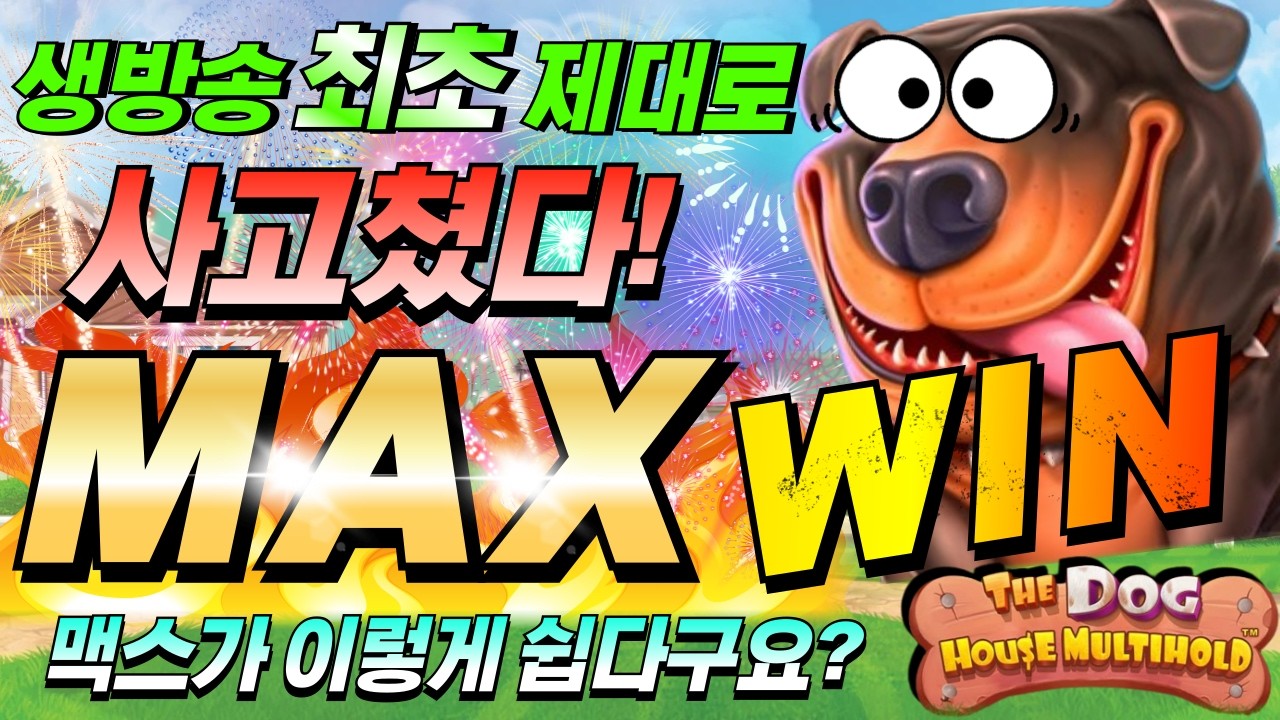 [한방슬롯하이라이트]🔥더 도그 하우스 멀티홀드 : THE DOG HOUSE MULTIHOLD🔥 #슬롯생방송 #온라인슬롯 #프라그마틱슬롯 #슬롯실시간