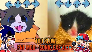TooSlow Sonic.EXE BUT Towel Cat VS ANIMATED TOWEL Cat? - FNF Animation