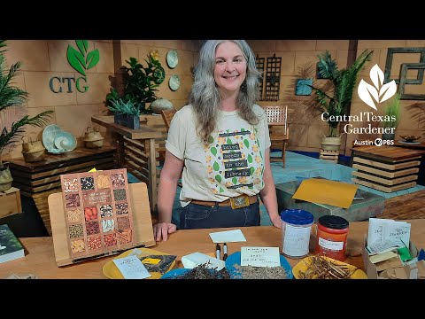 Central Texas Seed Savers: Colleen Dieter