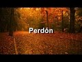 Perdón - Camila Feat. Ricky Martin - Letra HD