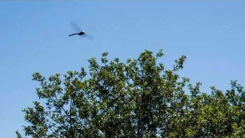 Music for Contact Improvisation Jam  - Moments