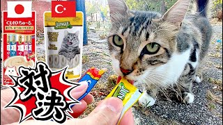 【猫30匹】日本のちゅ〜るは海外の偽物に勝てるのか野良猫で検証